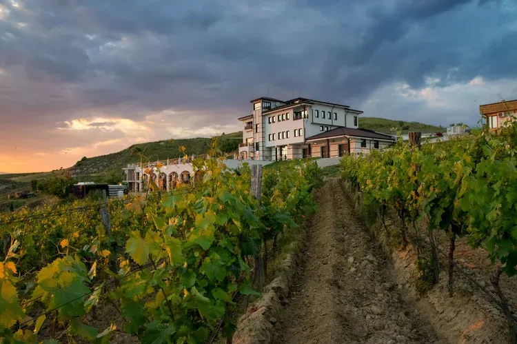 Route des vins